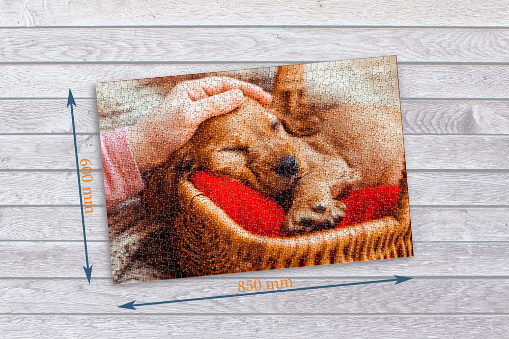 cfffb81afd180a912a9d4b1cb4fe290e