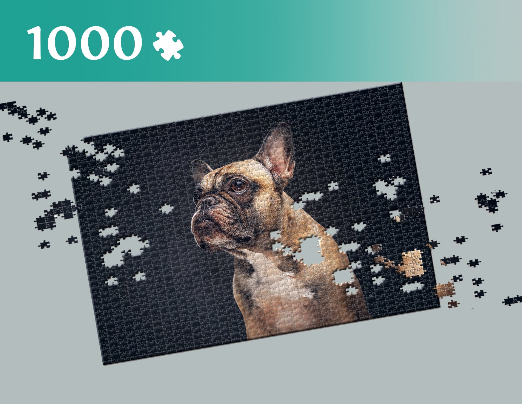 8649785a39218a5542f5475def8ef57c