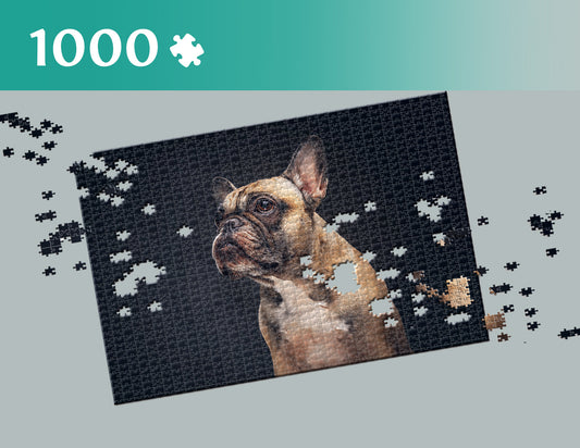 8649785a39218a5542f5475def8ef57c