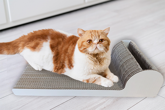 a10471eedddeea60cf6647d5557c79f5