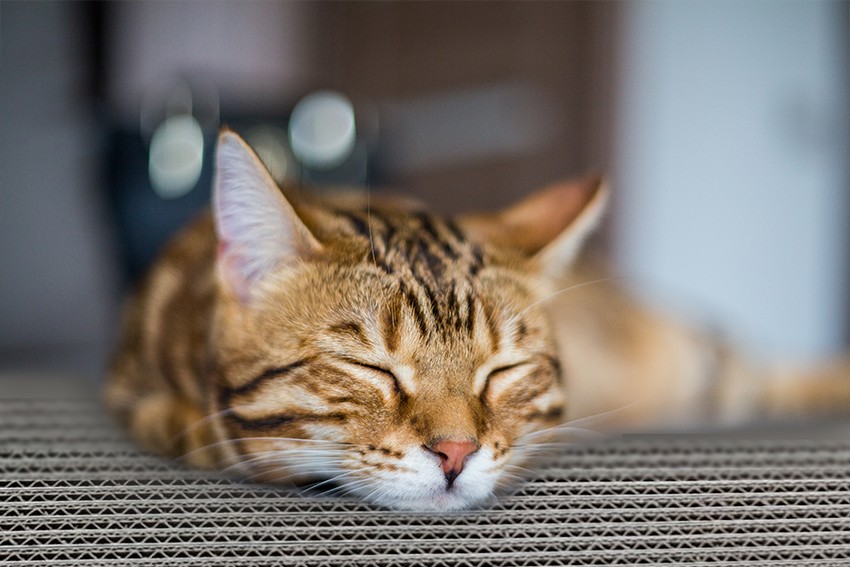 a70a1a2f756d3ba7395492112e42f5b1