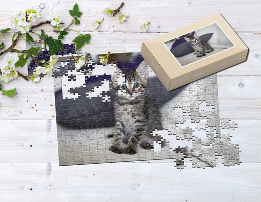 Fotopuzzle 300 Elemente 40 x 60 cm in einer Box
