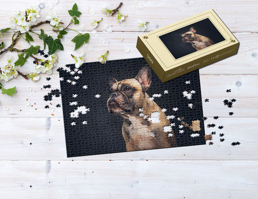 Fotopuzzle 500 Elemente 33 x 47 cm in einer Box